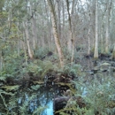 Brooker Creek Preserve - County & Parish Government