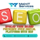 Main IT Services, Inc