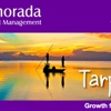 Islamorada Investment Management gallery