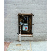 Gallery Image Number 7