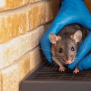 All Solutions Pest Control - Pest Control Equipment & Supplies
