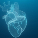 Laurelton Heart Specialists - Physicians & Surgeons, Cardiology