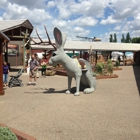 Wall Drug Store