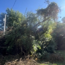 1st Choice R & R Tree Service