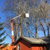 Autumn Tree Service Inc gallery