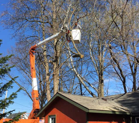 Autumn Tree Service Inc - Schenectady, NY. Matt from Autumn Tree Service in Bucket Truck 
Get 'n  it done!