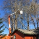 Autumn Tree Service Inc