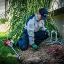 Fox Pest Control Albany - Pest Control Services