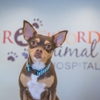 Rockford Animal Hospital gallery