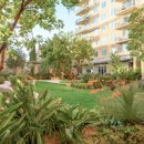Vi at La Jolla Village