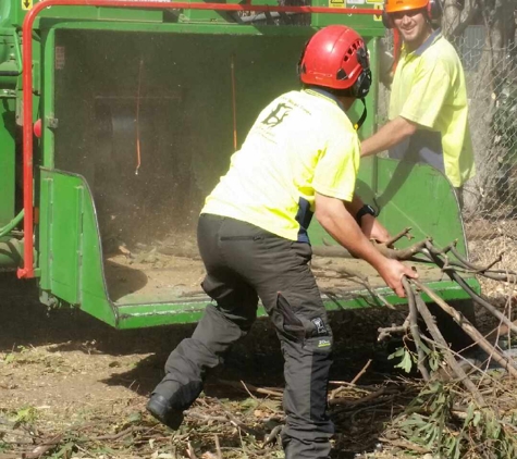 Hunter River Trees Pty Ltd - Lochinvar, NSW