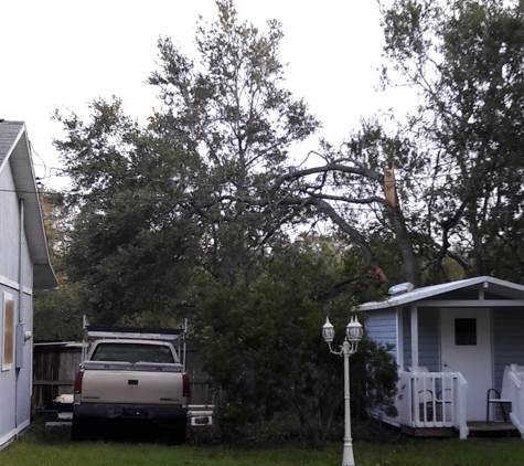 A Pro Quality Electric Service Corp - Palm Bay, FL. Tree snapped off from Hurricane that bent power pole