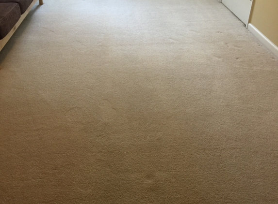 Spot Doctor Carpet Cleaning