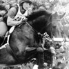 SaddleFit and Solutions gallery