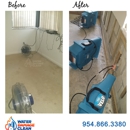 Water Damage Clean - Mold Remediation