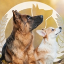 Dog Training Elite - Dog Training