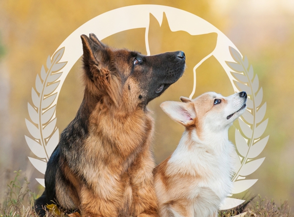 Dog Training Elite of Southwest Florida - Venice, FL