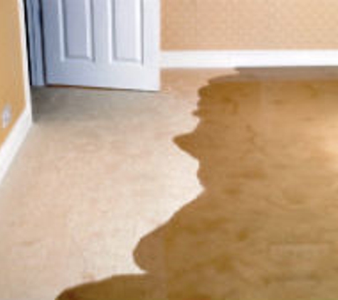 Tanin Carpet Cleaning, Water Damage, Mold Removal Lake Forest, Highland Park - Lake Forest, IL