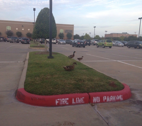 Life Time Fitness - Sugar Land, TX