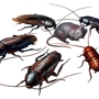 pest control plainfield nj