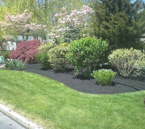 Ceciliano Landscaping - Elizabeth, NJ