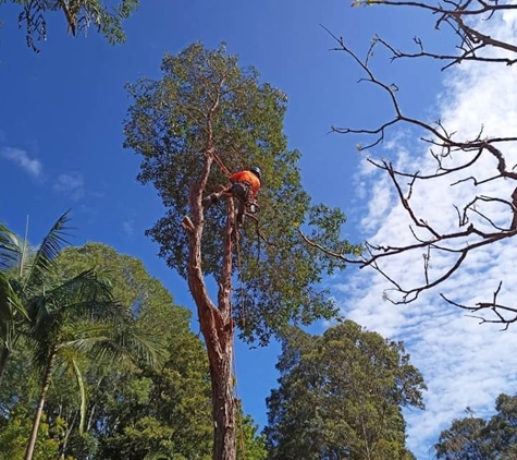 Micks Tree Worx - Coes Creek, QLD