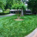 Lawn Frogs Landscaping - Drainage Contractors