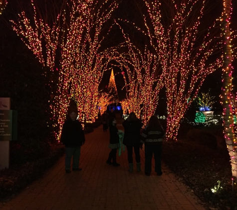 Atlanta Botanical Garden - Atlanta, GA. Pathway