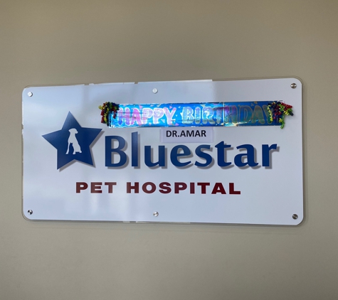 Bluestar Pet Hospital - Jacksonville, FL