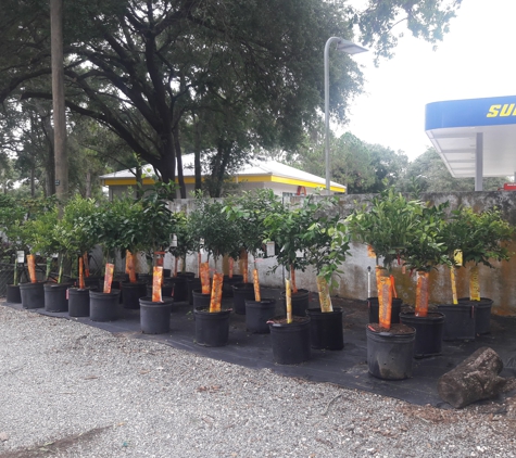 Citrus Park Landscape Nursery - Tampa, FL. Citrus