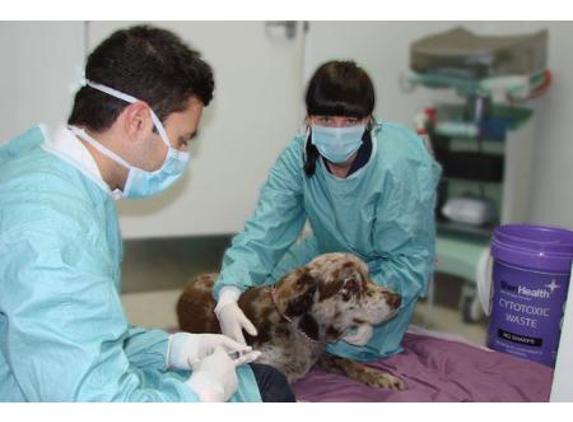 Kirrawee Veterinary Hospital - Kirrawee, NSW