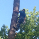 E-Z Tree Care - Tree Service