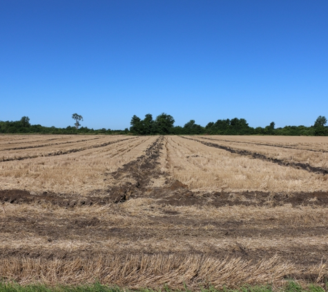 Ag Water Management - Onarga, IL