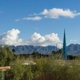 Hampton Inn & Suites Phoenix/Scottsdale