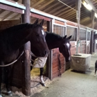 Rockmeadow Equestrian Center