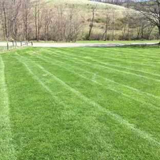 TayloredTurf - Saint Clairsville, OH