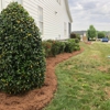 Turf & Dirt gallery