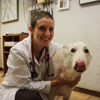South Kendall Animal Hospital gallery