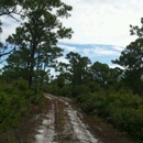 Seabranch Preserve State Park - Places Of Interest