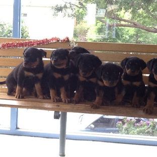 Animal Medical Centre Veterinary Hospital - Launceston, TAS