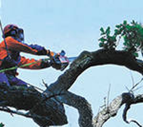 Dowling Tree Services - Kambah, ACT