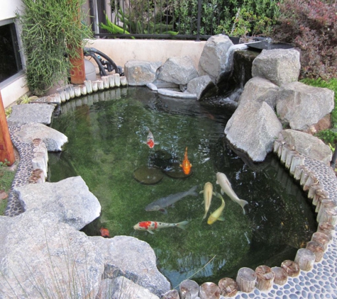 So Cal Aquatic Life Service Inc. - Anaheim, CA