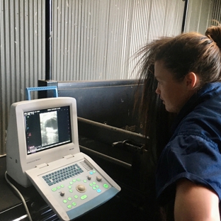 Drouin Veterinary Clinic - Drouin, VIC