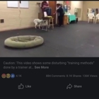 Academy Of Canine Behavior