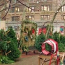 SoHo Trees: New York City Christmas Trees - Christmas Trees