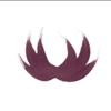 Northwest Plastic Surgery Associates gallery