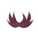 Northwest Plastic Surgery Associates - Physicians & Surgeons, Plastic & Reconstructive