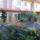 Willow Tree Lodge - Motels