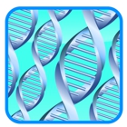 DNA Paternity Testing Centers