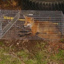 Critter Gitter - Pest Control Services